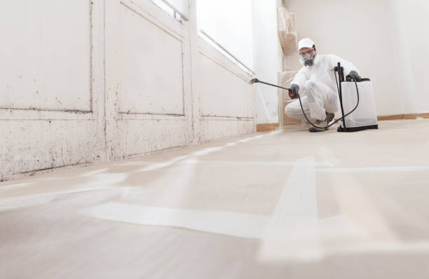24/7 Emergency Mold Remediation experts in Presidential Lakes Estates, NJ